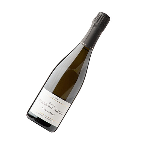 GUILLEMOT Une bulle.jpg